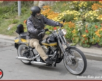 bike229   L5I0231
